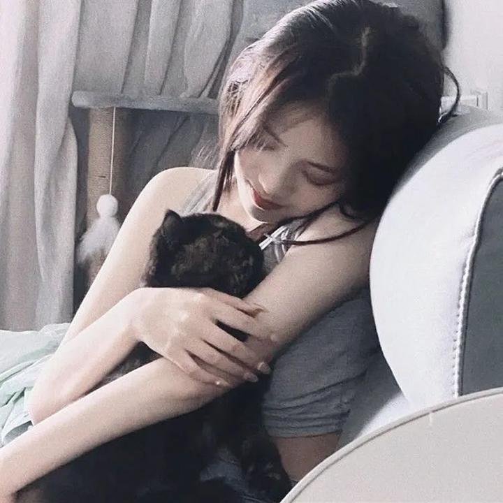 满目皆琳琅